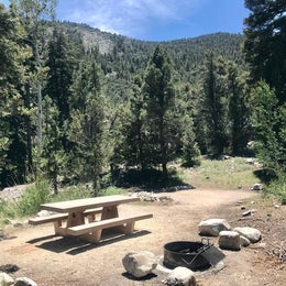 Public Campgrounds: Upper Lehman Creek Campground — Great Basin National Park