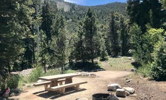 Camping near Sacramento Pass Recreation Area: Upper Lehman Creek Campground — Great Basin National Park, Baker, Nevada