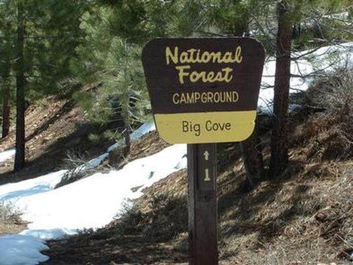 Camper submitted image from Plumas National Forest Big Cove Campground - 2