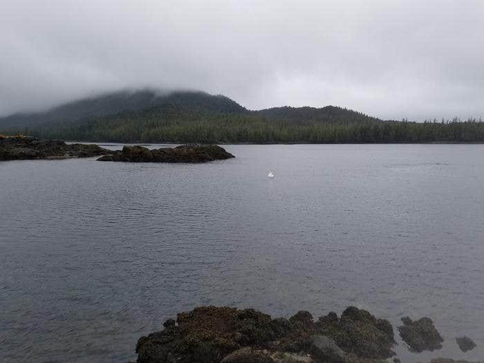 Camper submitted image from Steamer Bay Cabin - 2