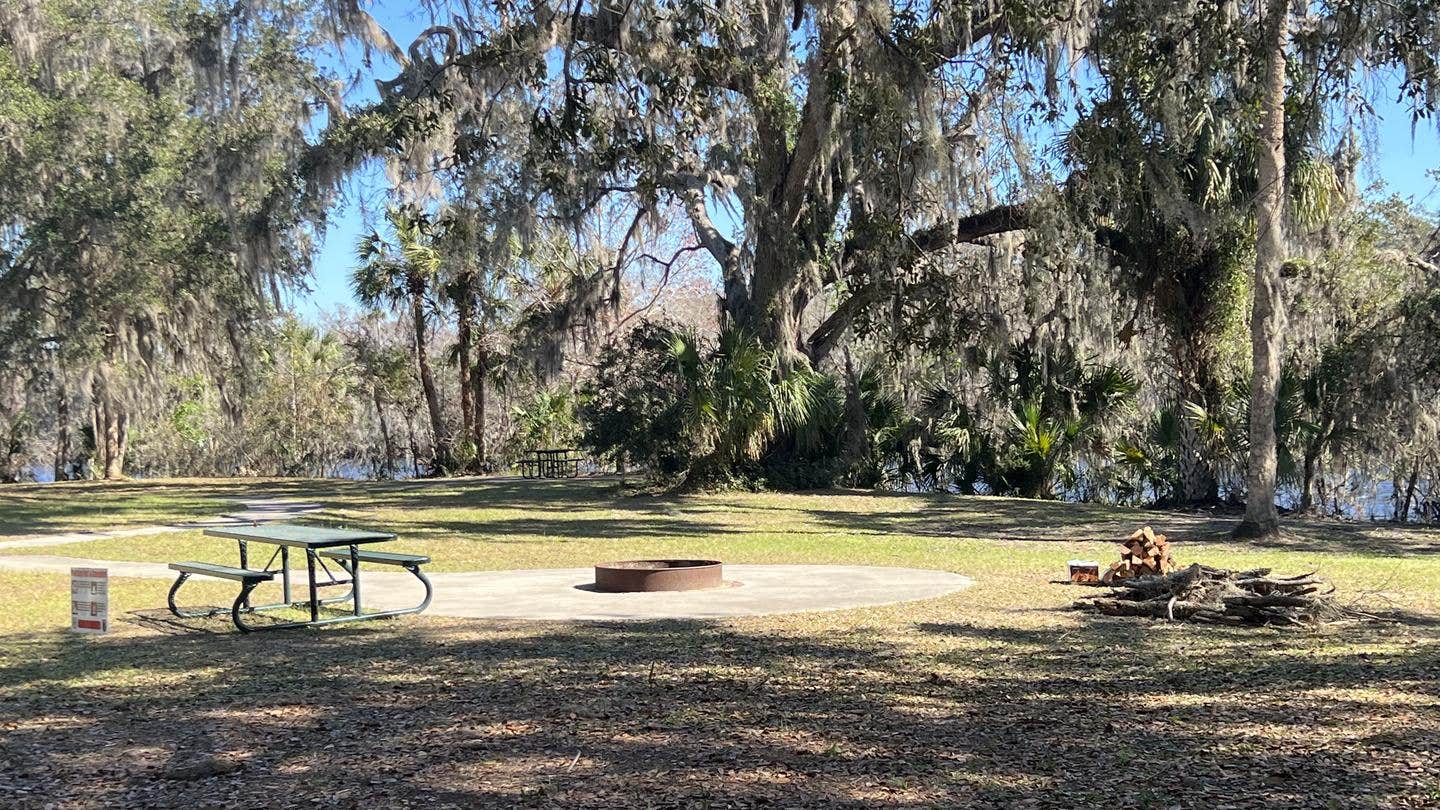 Camper submitted image from Ocala National Forest River Forest Group Camp - 4