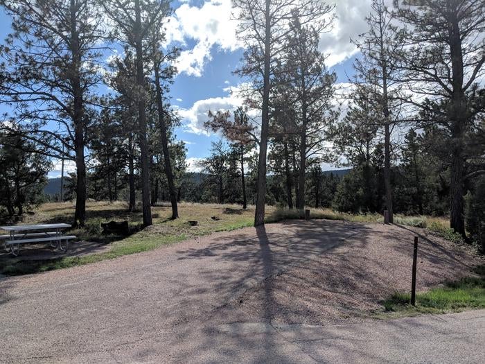 Camper submitted image from Cottonwood Springs Campground - 2