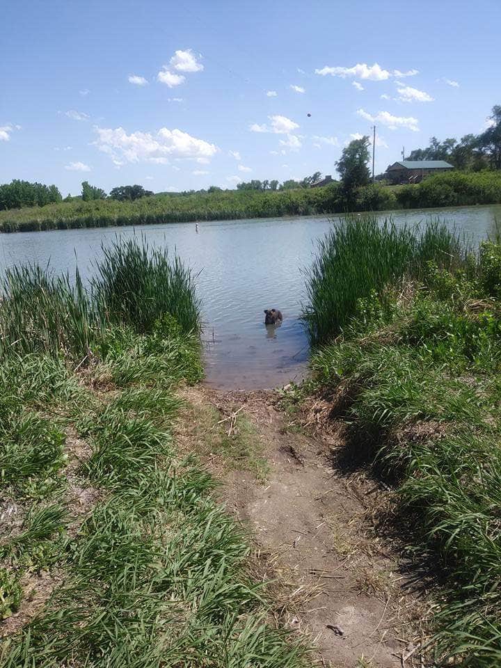 Keri F.'s photo of camping with pets at Circle Drive — Historic Lake Scott State Park near Garden City, KS