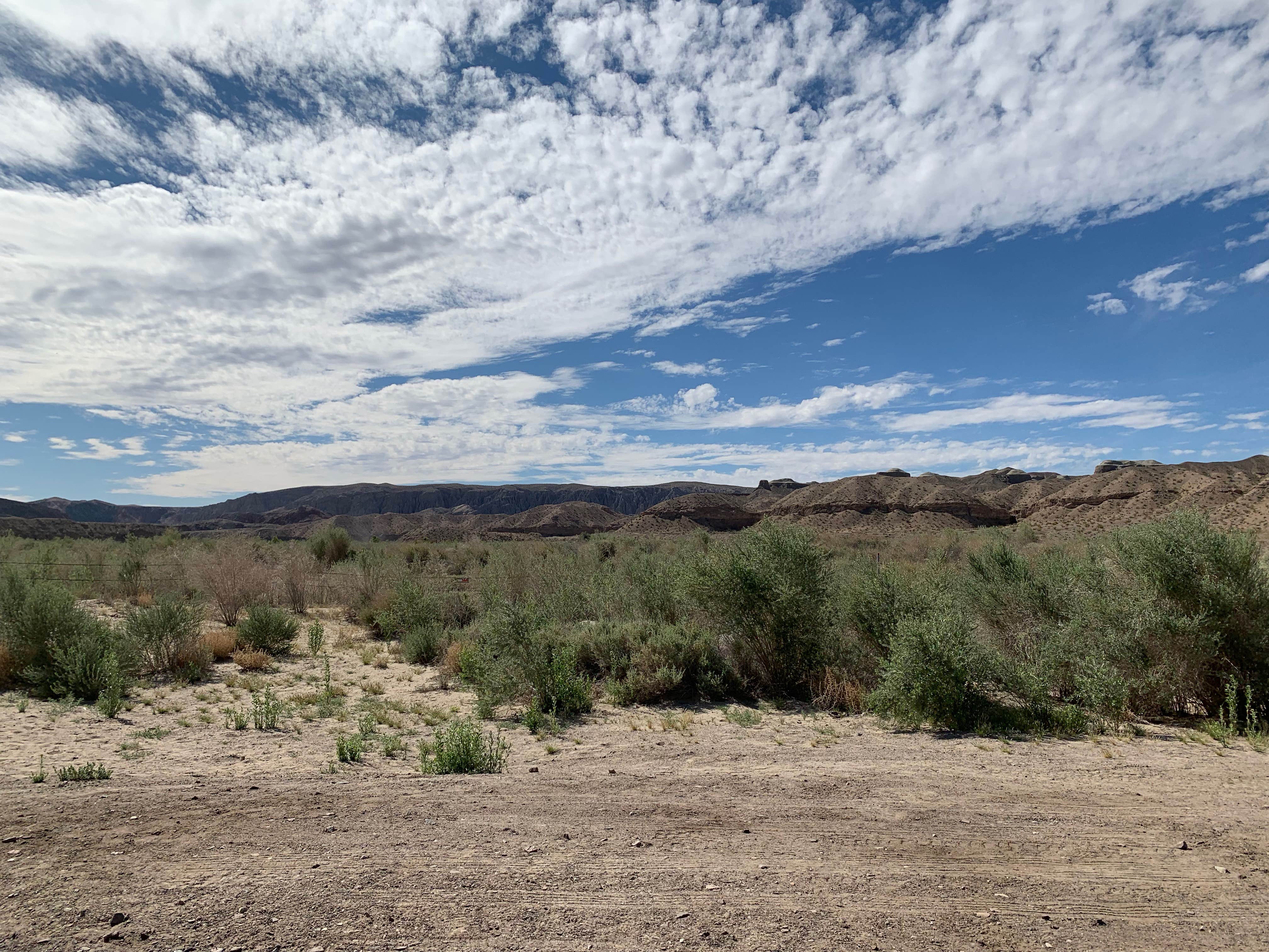 Camper submitted image from Afton Canyon Campground - 3