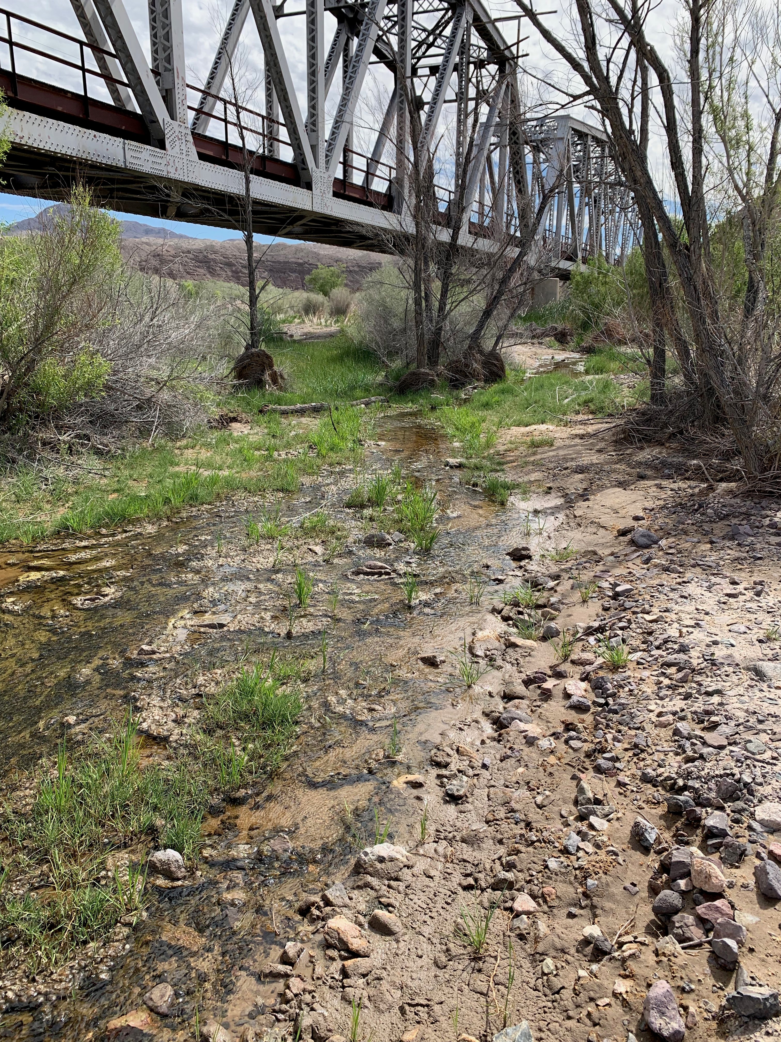 Mojave River and the nearby train tracks within walking distance of campground