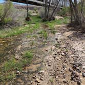 Review photo of Afton Canyon Campground by Amanda D., April 24, 2019