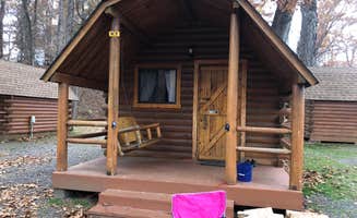 Arica M.'s photo of a cabin at Asheville East KOA near Pisgah National Forest