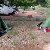 Review photo of Watchman Campground — Zion National Park by Chris M., August 27, 2016