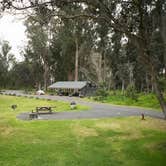 Review photo of Nāmakanipaio Campground — Hawai'i Volcanoes National Park by Christy K., July 25, 2015
