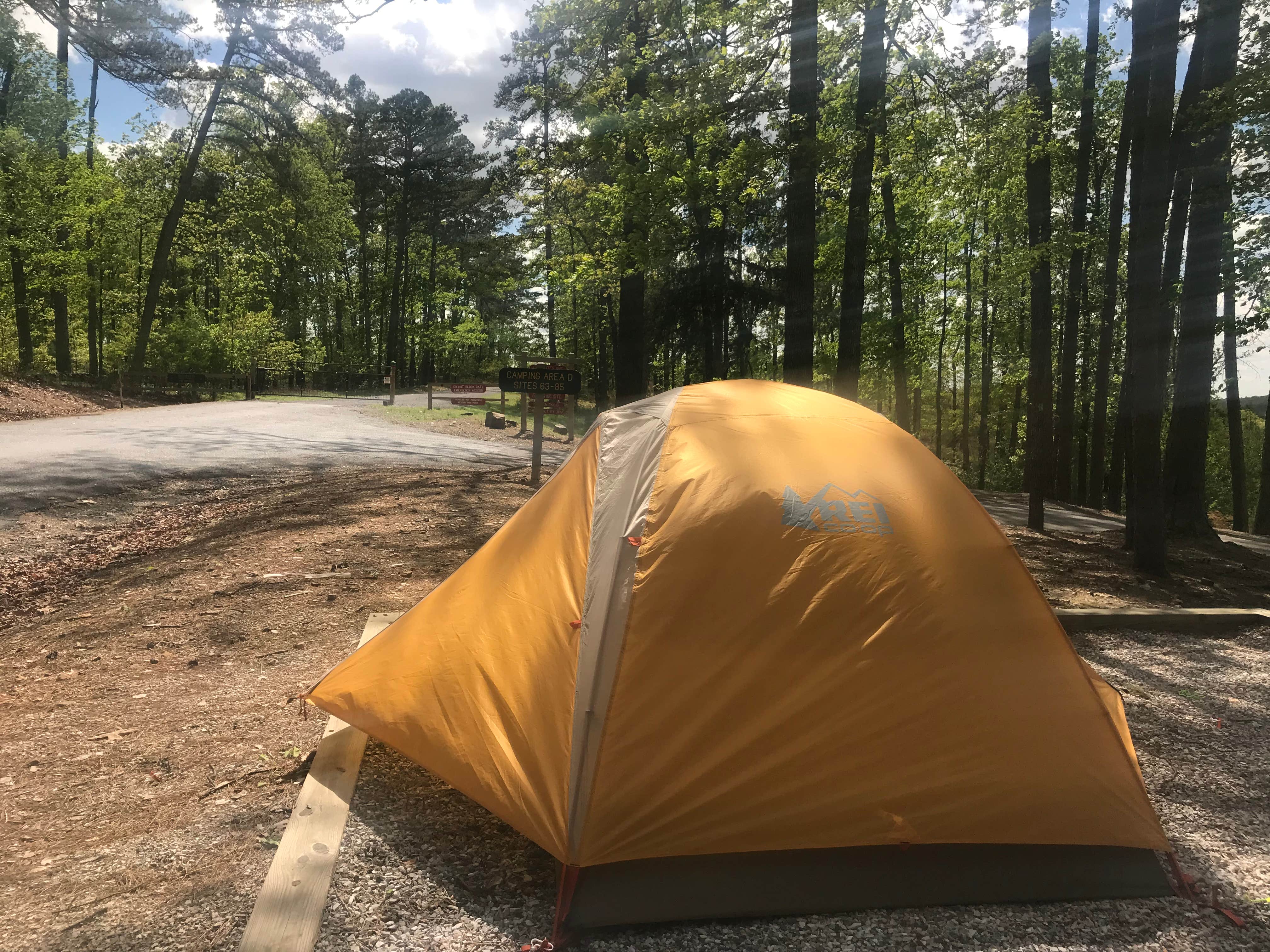 James R.'s photo at Lake Ouachita State Park Campground near Hot Springs National Park, AR