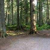 Review photo of Avalanche Campground — Glacier National Park by Brian C., April 24, 2019