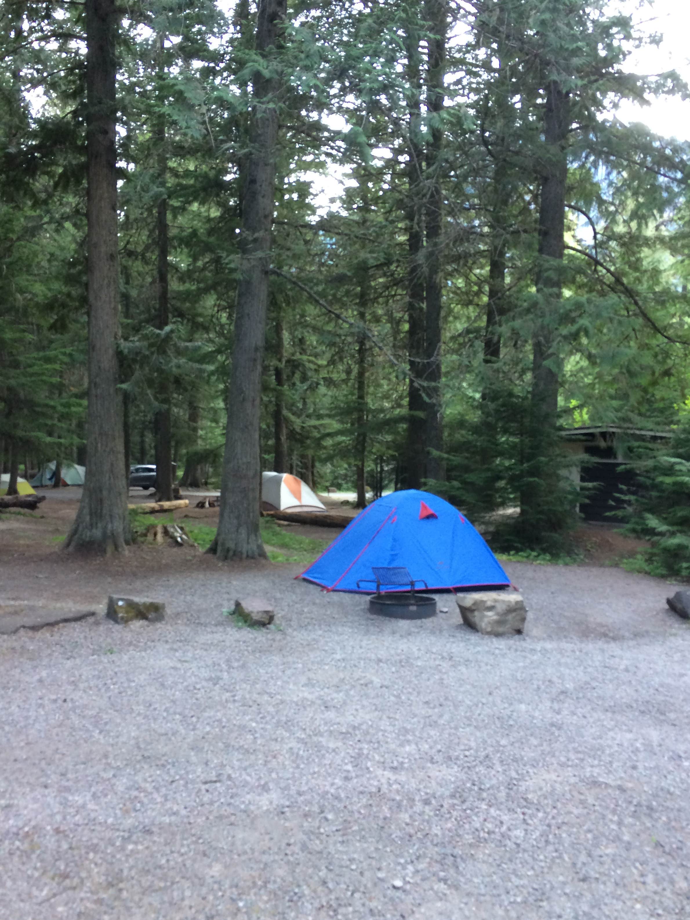 Brian C.'s photo at Avalanche Campground — Glacier National Park near Glacier National Park