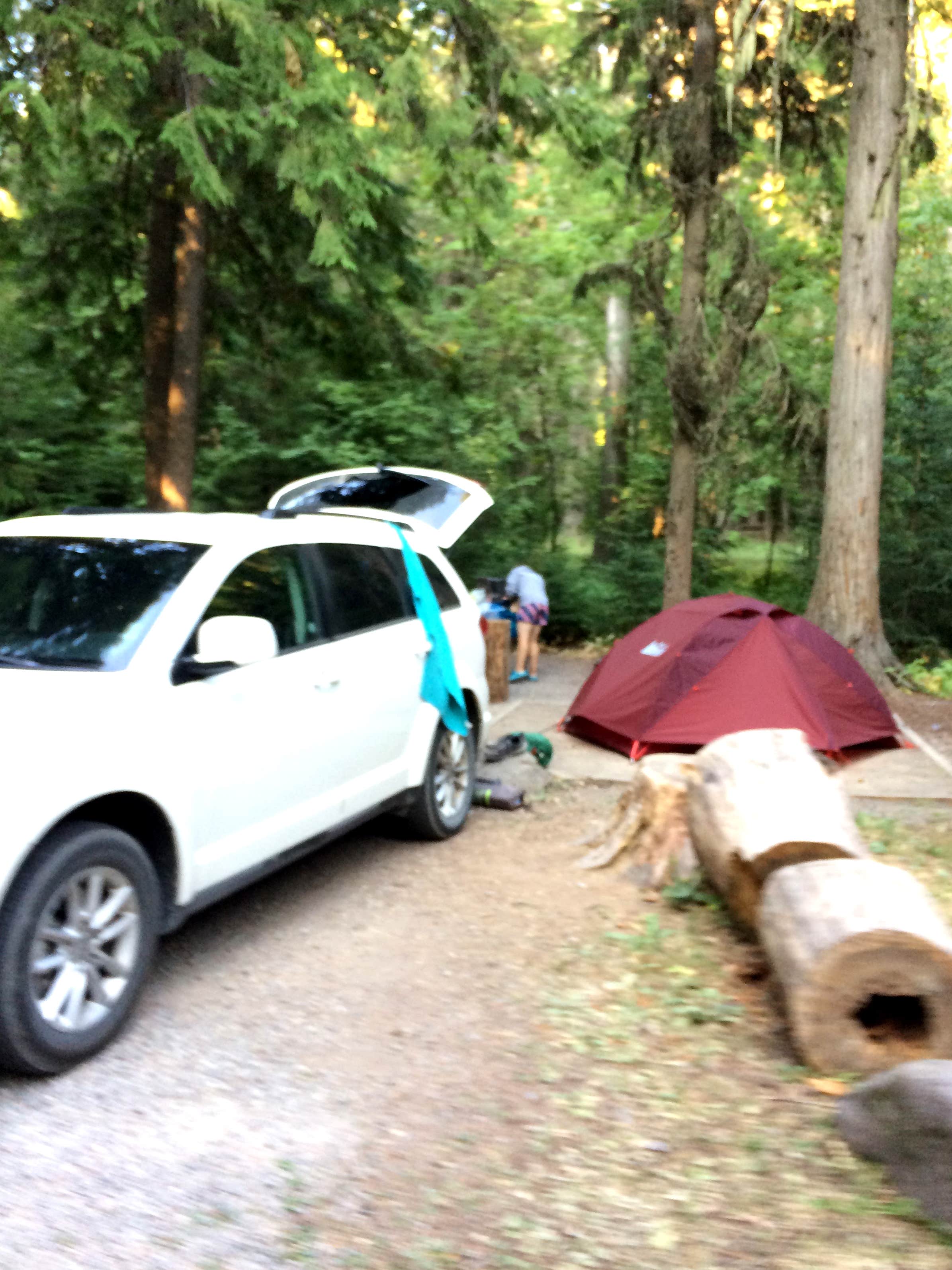 Brian C.'s photo of camping with pets at Sprague Creek Campground — Glacier National Park near Babb, MT
