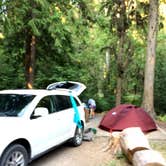 Review photo of Sprague Creek Campground — Glacier National Park by Brian C., April 24, 2019