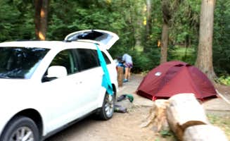 Brian C.'s photo of camping with pets at Sprague Creek Campground — Glacier National Park near Glacier National Park