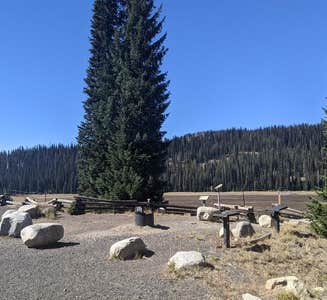 Camper-submitted photo from Grouse Campground