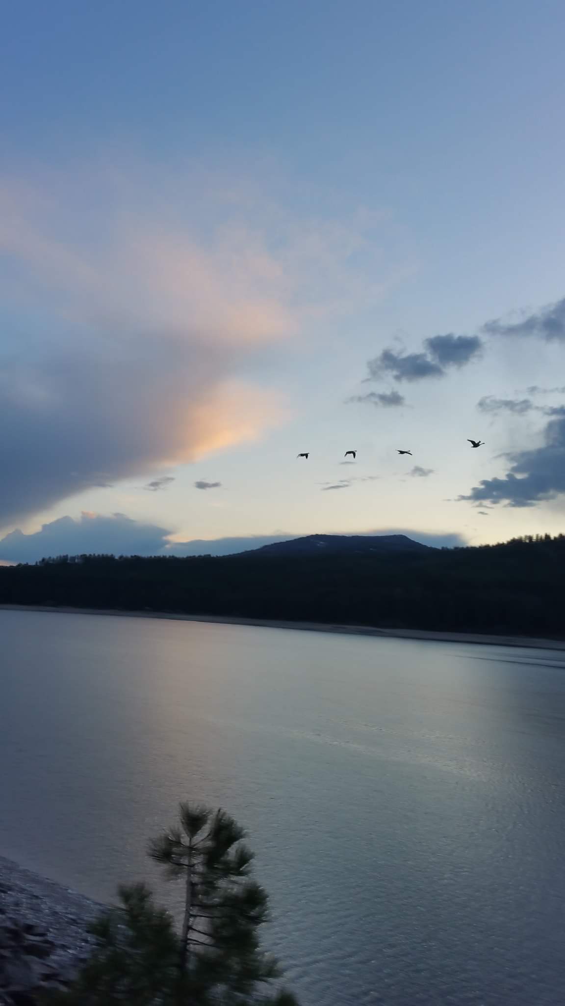 Camper submitted image from Kettle Falls Campground — Lake Roosevelt National Recreation Area - 4