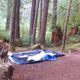 Review photo of Willaby Campground by Andrea R., April 24, 2019