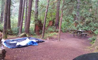 Andrea R.'s photo of tent camping at Willaby Campground near Malone, WA