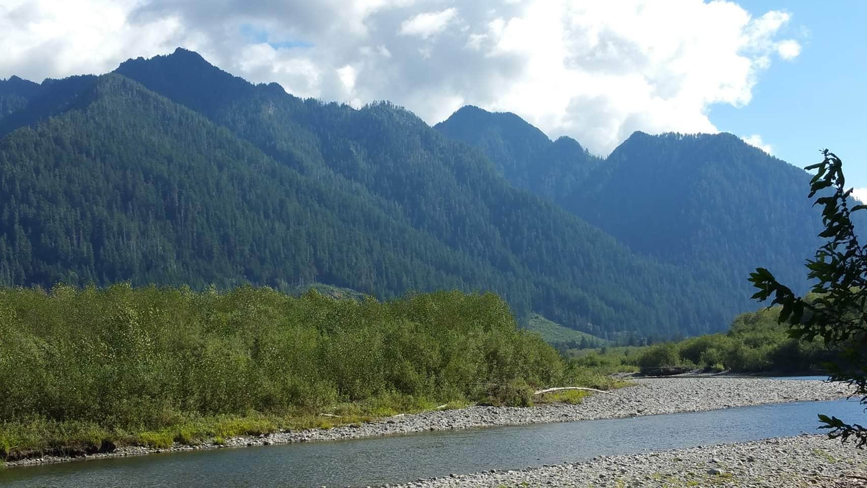 Camper submitted image from Willaby Campground - 3