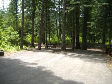 Camper submitted image from Yaak River Campground - 1