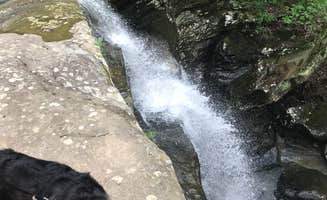 Tyler S.'s photo of camping with pets at Shawnee Forest Campground near Paducah, KY
