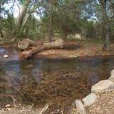 Review photo of Clear Creek Area Dispersed — Grand Canyon National Park by Quin I., August 27, 2016