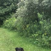 Review photo of Starved Rock Campground — Starved Rock State Park by Tyler S., April 24, 2019