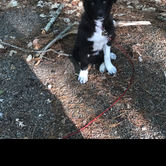 Review photo of Sycamore RV Resort by Tyler S., April 24, 2019
