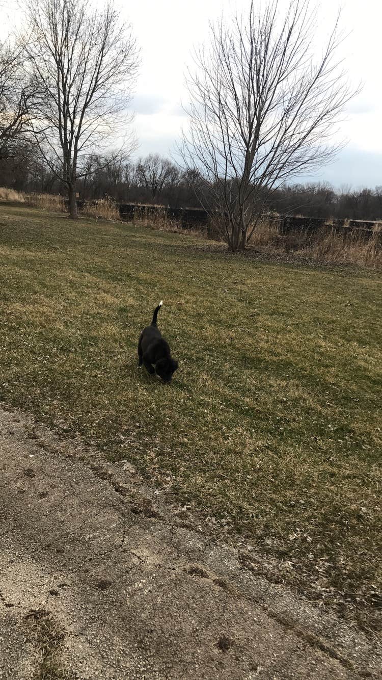 Camper-submitted photo at Holiday Acres Camping Resort near Kirkland, IL