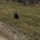 Review photo of Holiday Acres Camping Resort by Tyler S., April 24, 2019