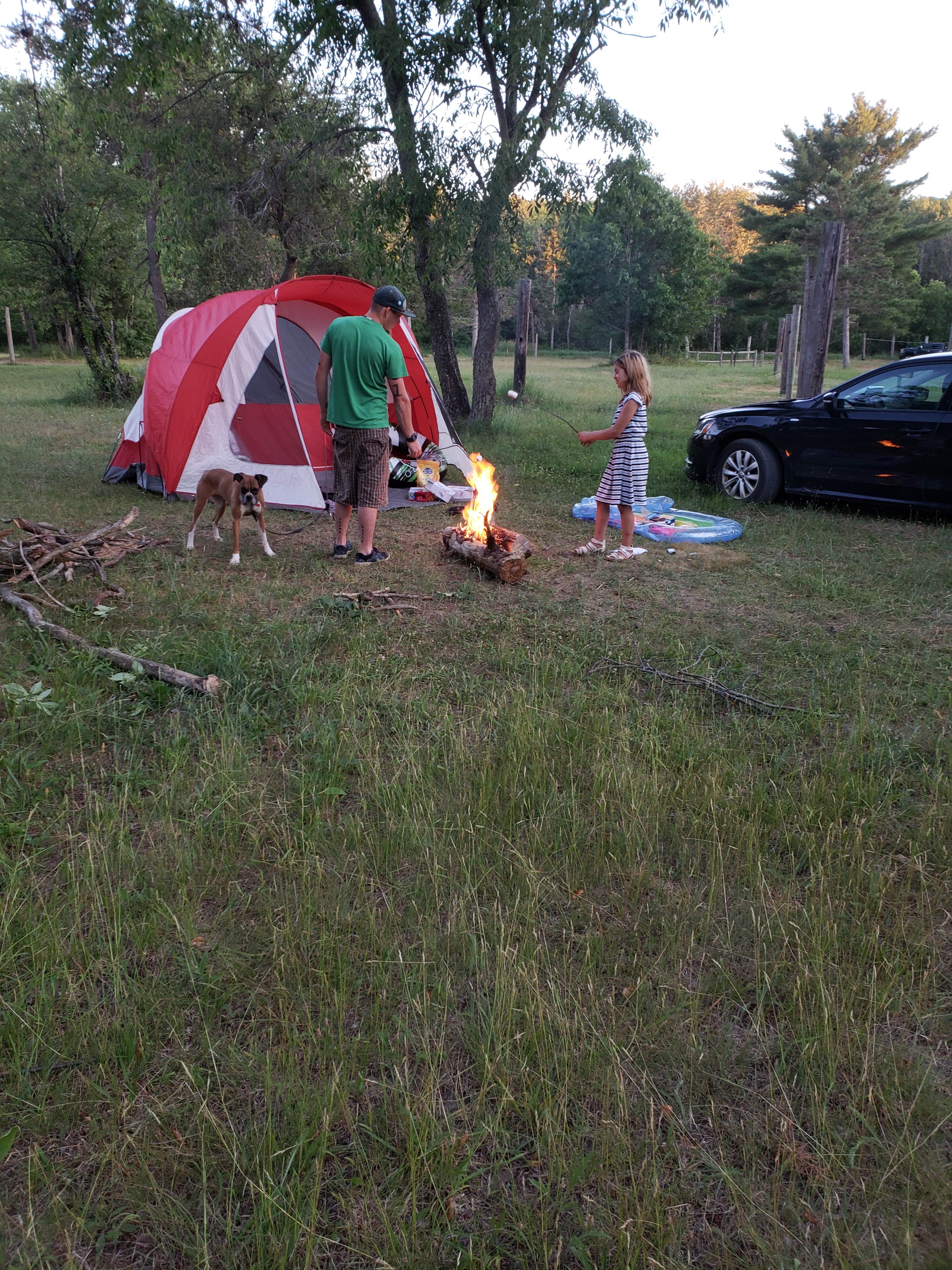 Camper submitted image from Scheck's Place State Forest Campground - 2