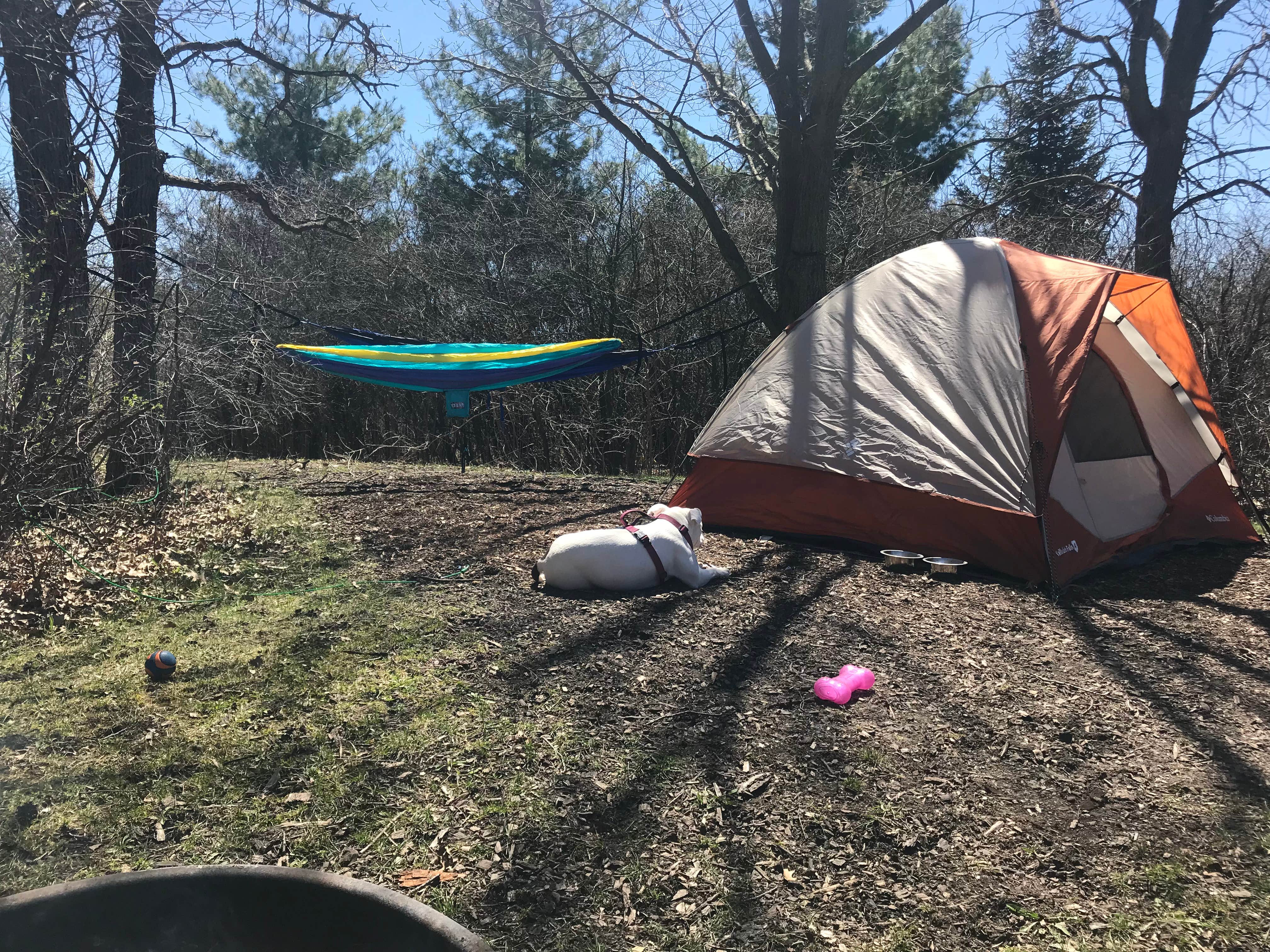 Amber W.'s photo at Sunrise Campground — Richard Bong State Recreation Area near Caledonia, WI