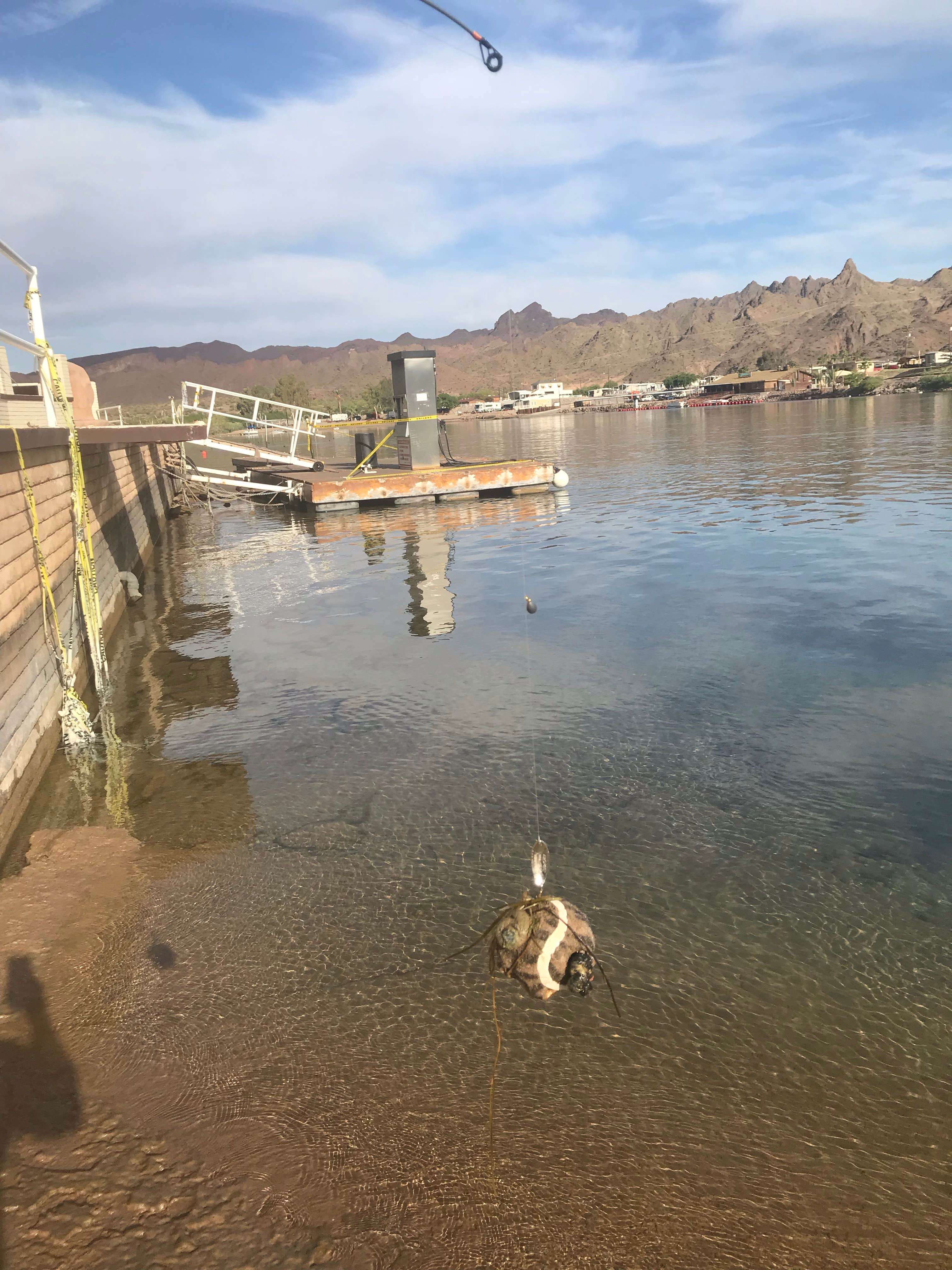 Camper-submitted photo at Buckskin Mountain State Park Campground near Parker Dam, CA