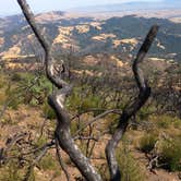 Review photo of Live Oak Campground — Mount Diablo State Park Campground by Ethan K., August 27, 2016