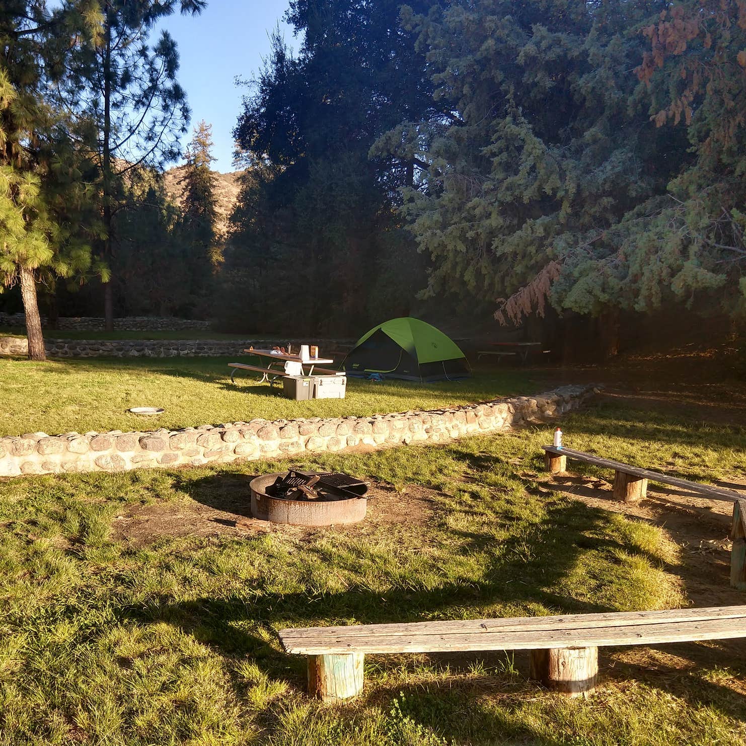 Yucaipa Regional Park Camping The Dyrt