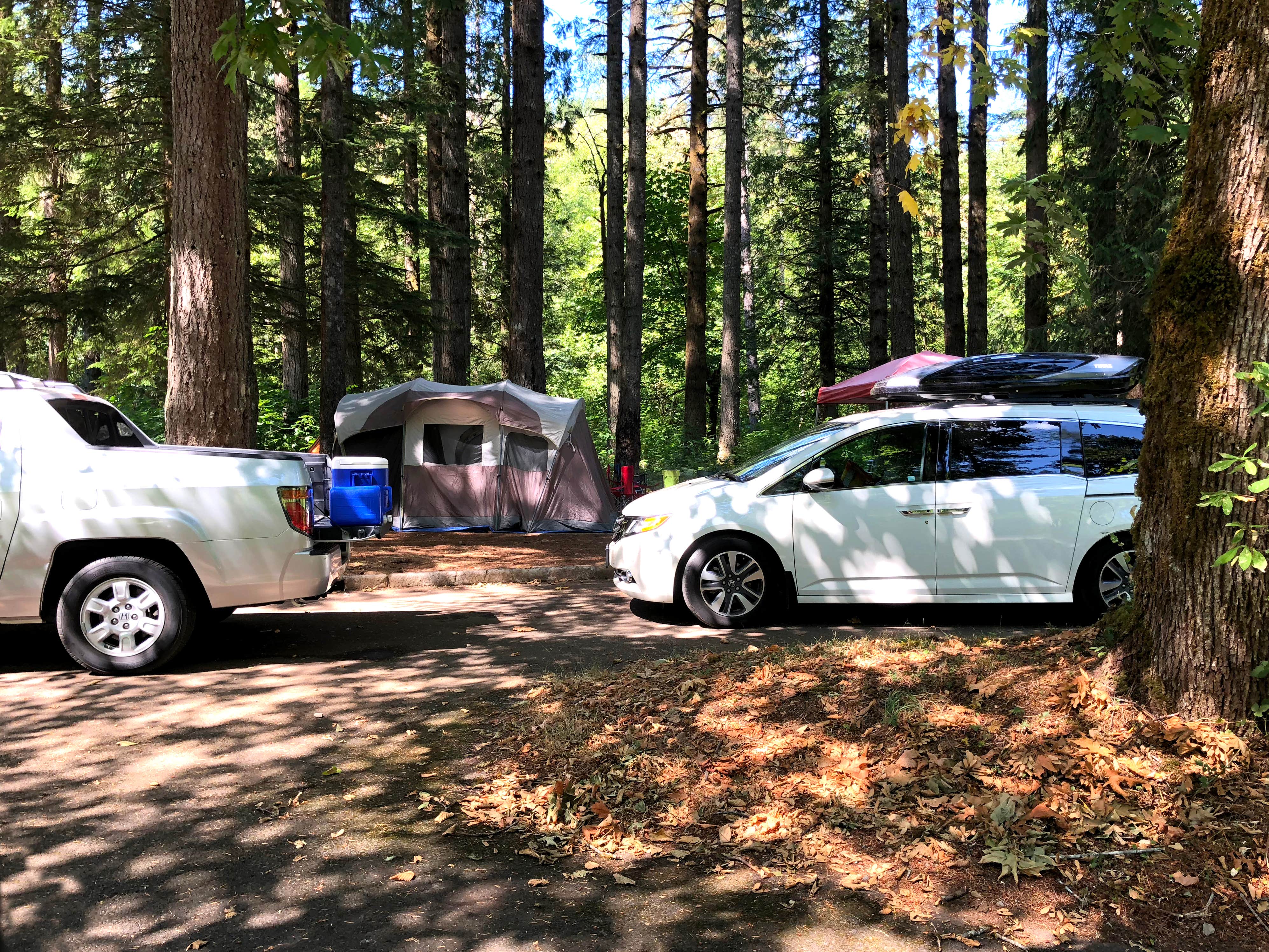 Brian C.'s photo at Sunset Falls Campground near Vancouver, WA