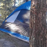 Review photo of Mt. Pinos Campground by Andrea R., April 24, 2019