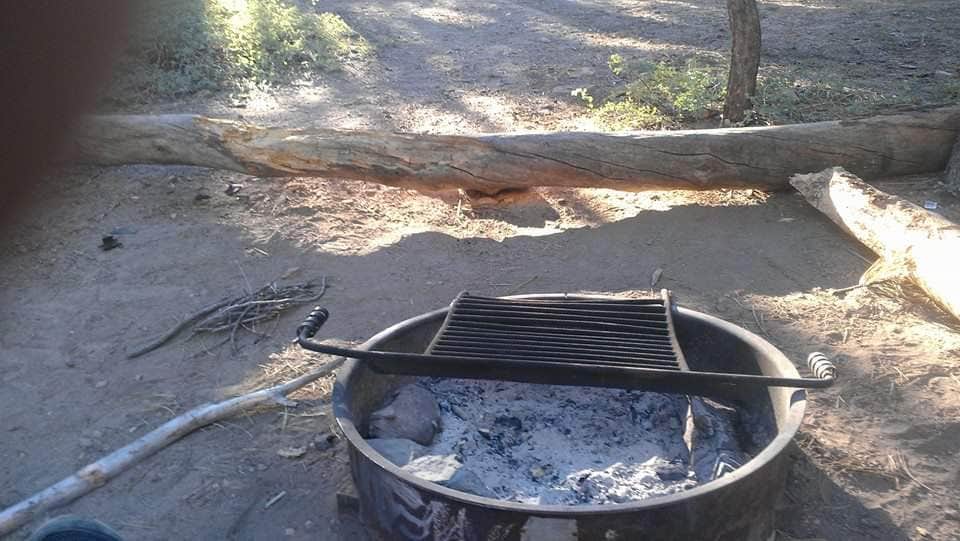 Camper submitted image from Mt. Pinos Campground - 5
