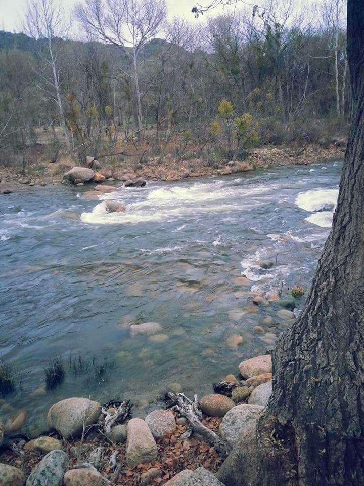 Camper submitted image from Kern River Campground - 5