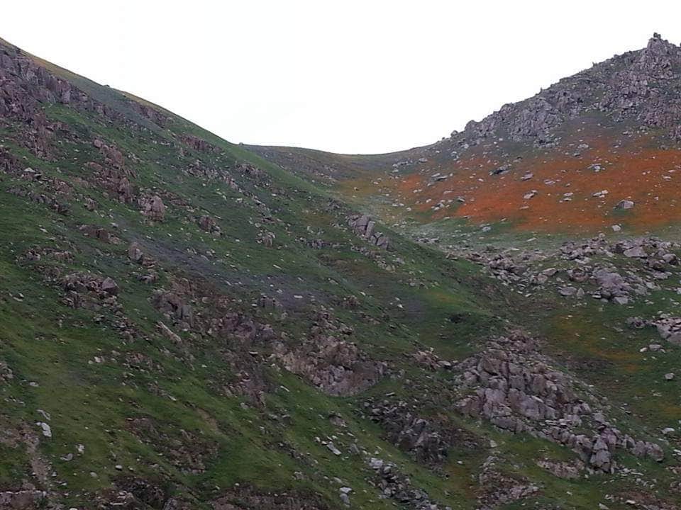 Nature