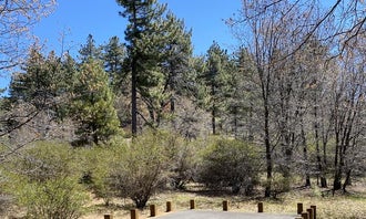 Camping near Burnt Rancheria Campground: El Prado Campground, Mount Laguna, California