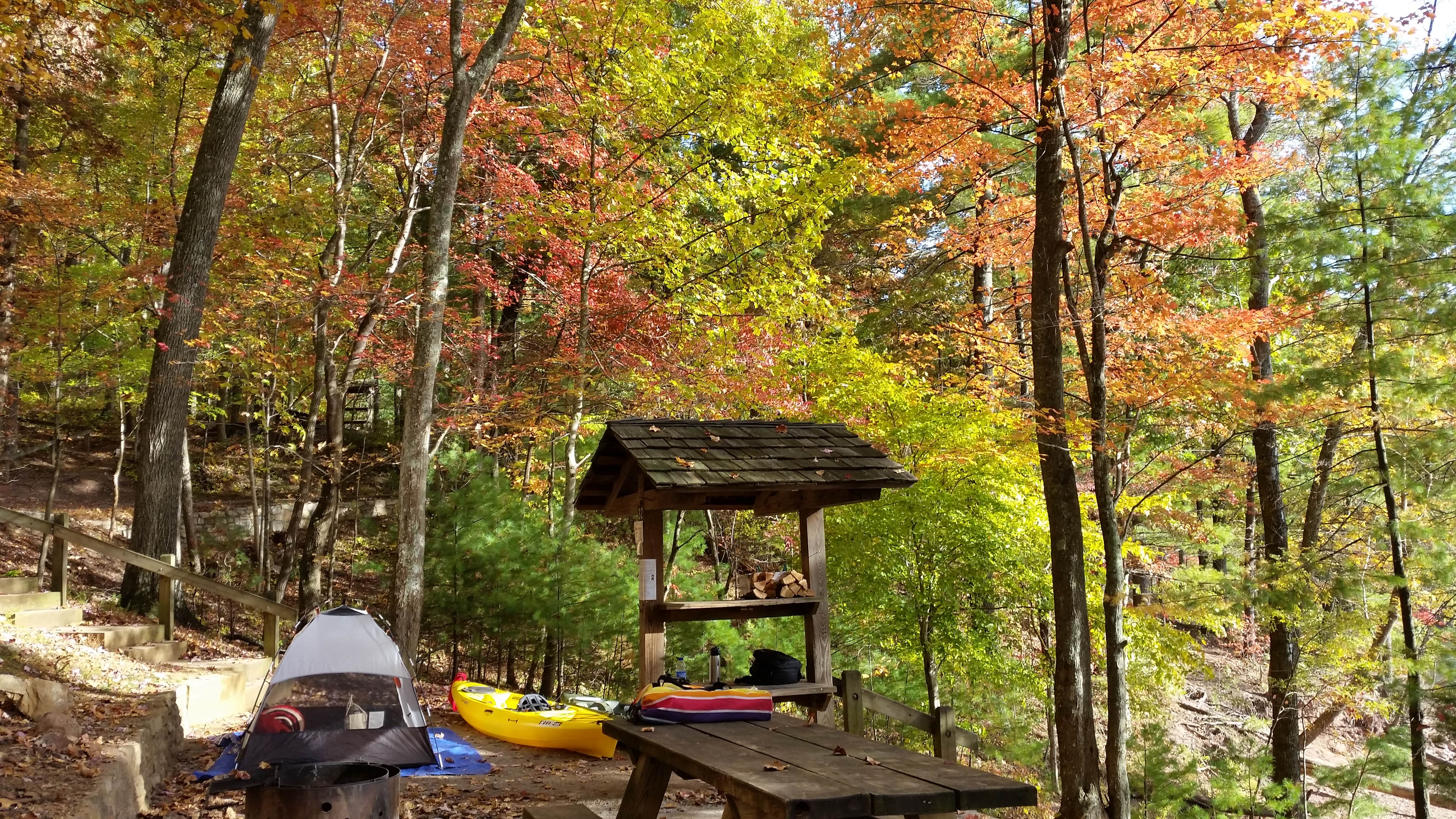 Angelica O.'s photo at Cardens Bluff Campground near Milligan College, TN
