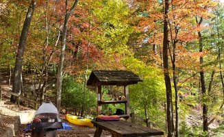 Angelica O.'s photo at Cardens Bluff Campground near Milligan College, TN