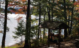 Angelica O.'s photo at Cardens Bluff Campground near Bluff City, TN