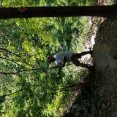 Review photo of Petit Jean State Park — Petit Jean State Park by Cat R., April 11, 2019