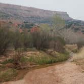 Review photo of Sagebrush Campground — Palo Duro Canyon State Park by Rebecca K., April 24, 2019