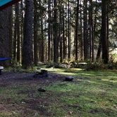 Review photo of Graves Creek Campground — Olympic National Park by Carter S., April 24, 2019