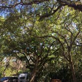 Review photo of Anastasia State Park Campground by Brandon E., April 25, 2019