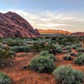 Review photo of Atlatl Rock Campgrounds - Valley of Fire State Park by Shari  G., April 25, 2019